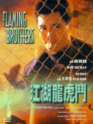 晚风知我意 电影海报