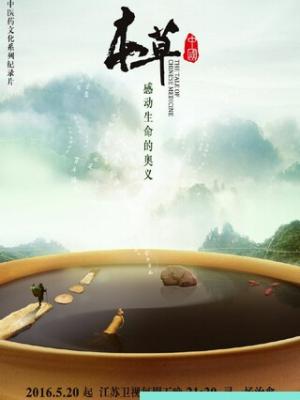 灯塔与海鸟 剧集封面
